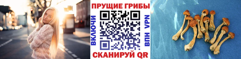 Галлюциногенные грибы мухоморы  дарк нет клад  Очёр 
