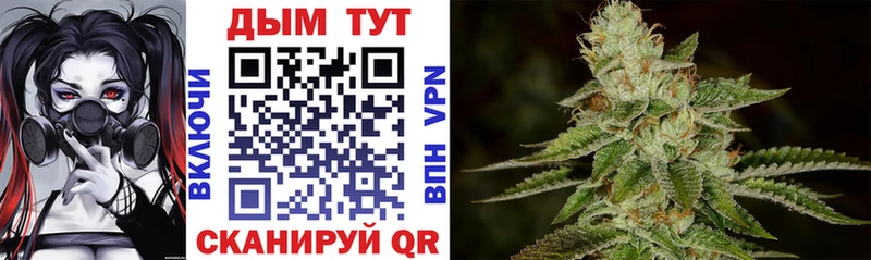 Бошки марихуана White Widow  это телеграм  Очёр 